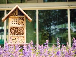 How To Turn Your Backyard Into A Private Wildlife Sanctuary
