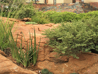 Landscaping Rocky Outcrops at Wild Fig Business Park