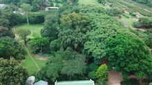 Aerial View of Cottages and Nursery