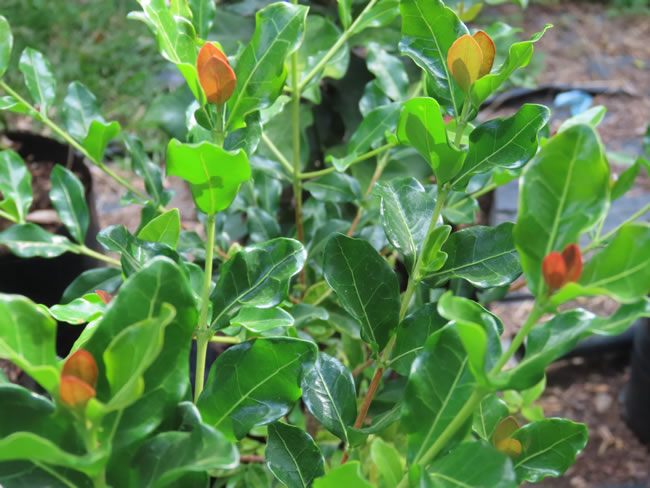 Random Harvest Newsletter - May 2024