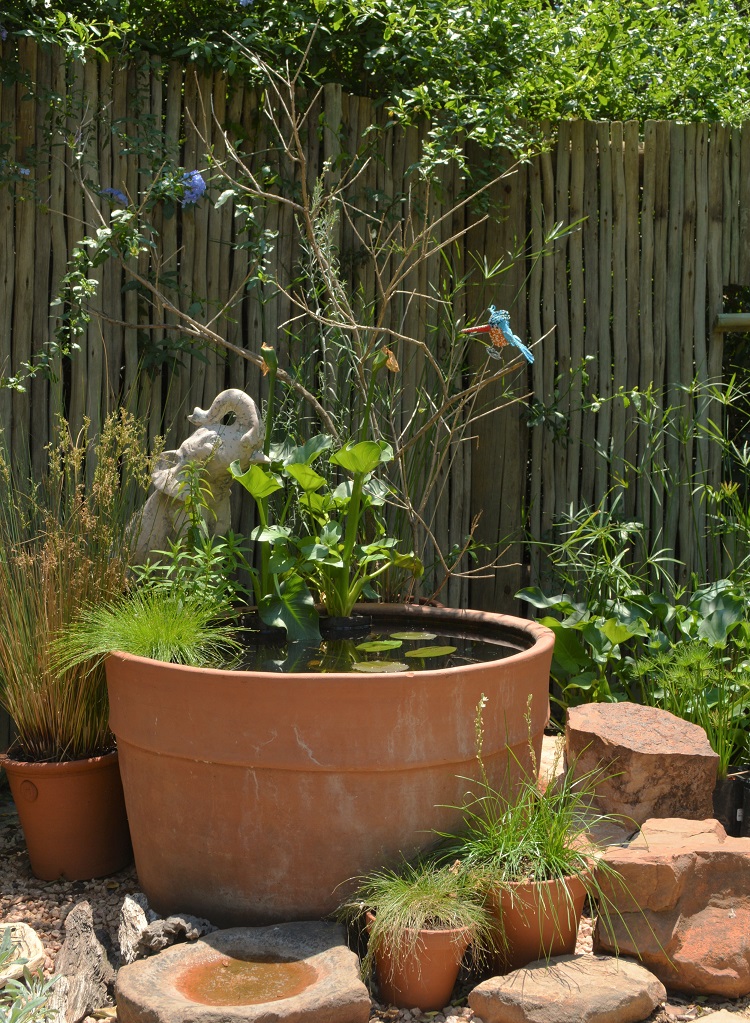 Gardening ideas - Plant nursery Johannesburg