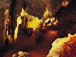 Come visit the Cradle of Humankind - The origin of your species