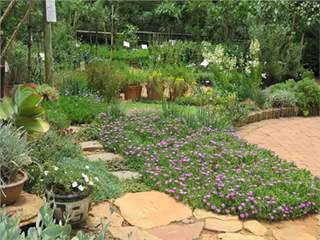Waterwise Gardening in a drought - Video