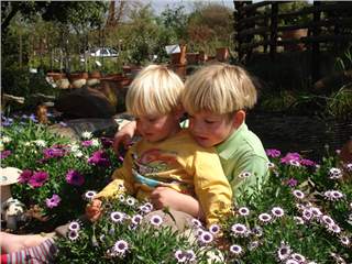 10 Great South African Indigenous Plants for Children's Gardens